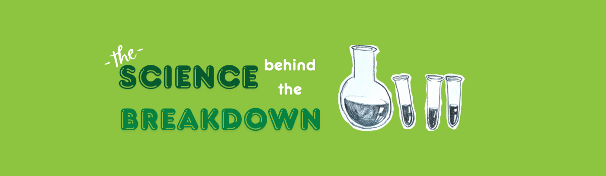 The Science of Smart Breakdown: How Biowrap’s Additive Transforms Plastic